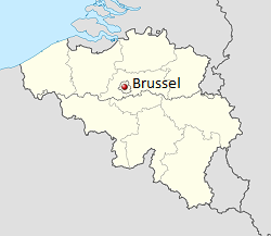 Bus Lines in Brussel